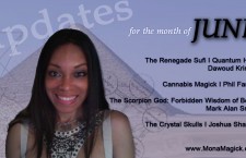 Updates for June 2013