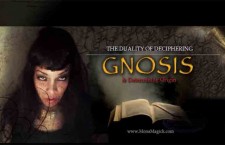 Deciphering Gnosis